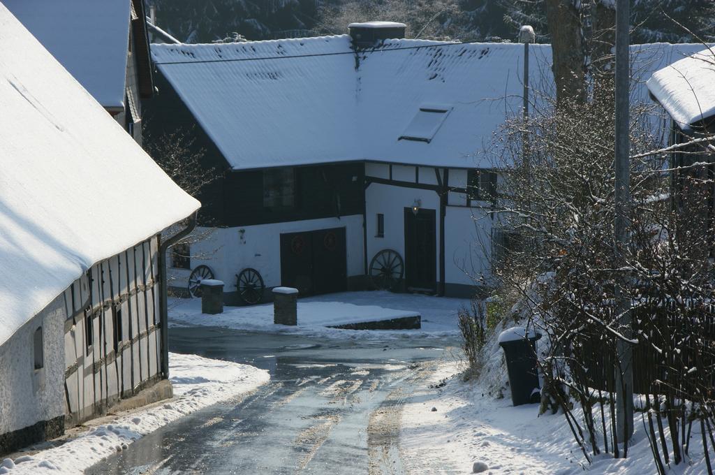 Eifelhoeve In Benenberg 헬렌탈 객실 사진